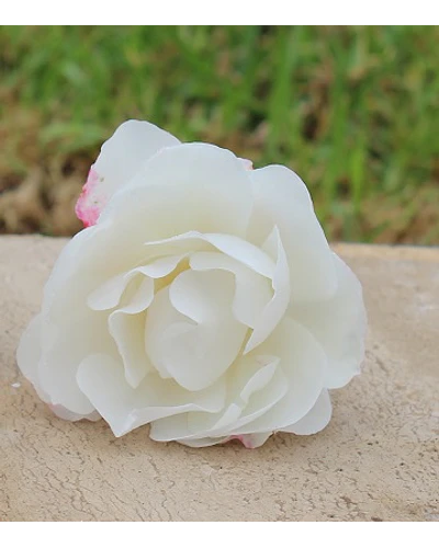 Hidrolato de Pétalos de Rosa