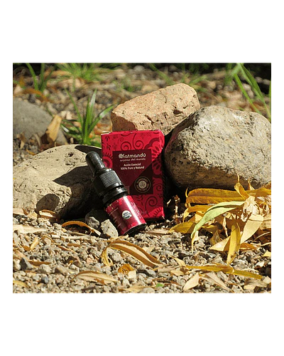 Aceite Esencial Gaulteria 5 ml