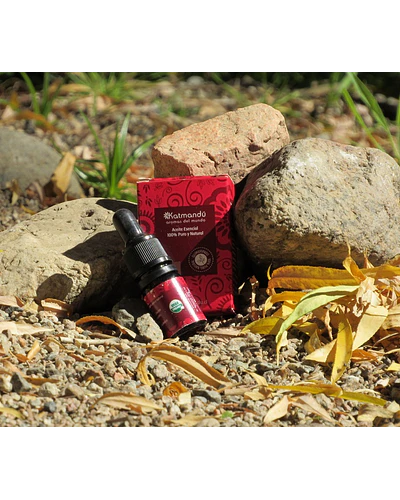 Aceite Esencial Albahaca 5ml