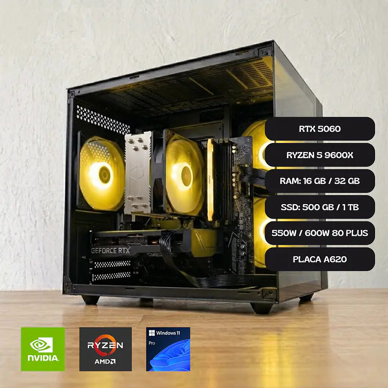 PC GAMER RTX 5060 | RYZEN 5 9600X | PLACA A620 1