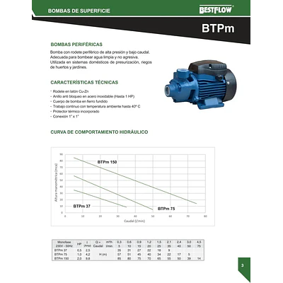 Bomba De Agua Periferica 1 Hp 1x1  Bestflow Btpm75