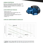 Bomba De Agua Periferica 1 Hp 1x1  Bestflow Btpm75