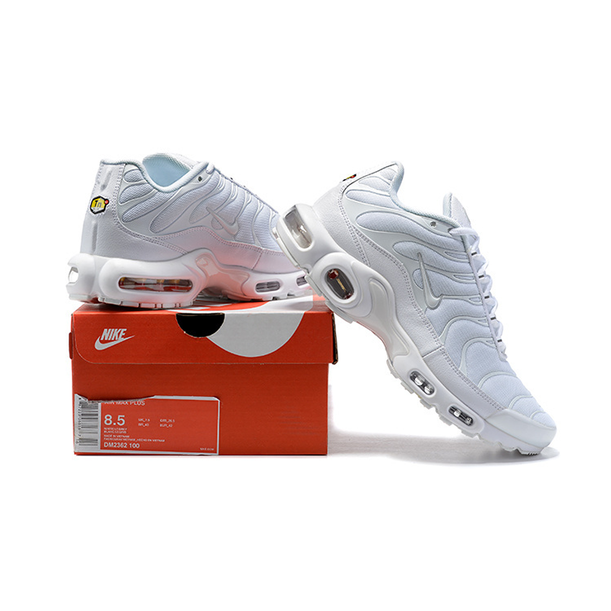 Nike Air Max Plus  5