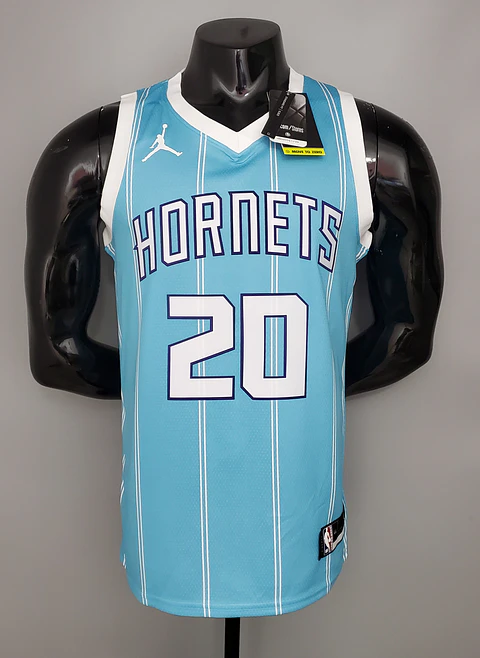 Charlotte Hornets 