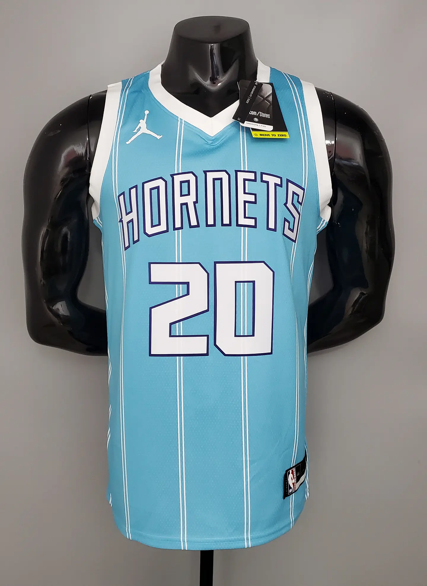 Charlotte Hornets  1