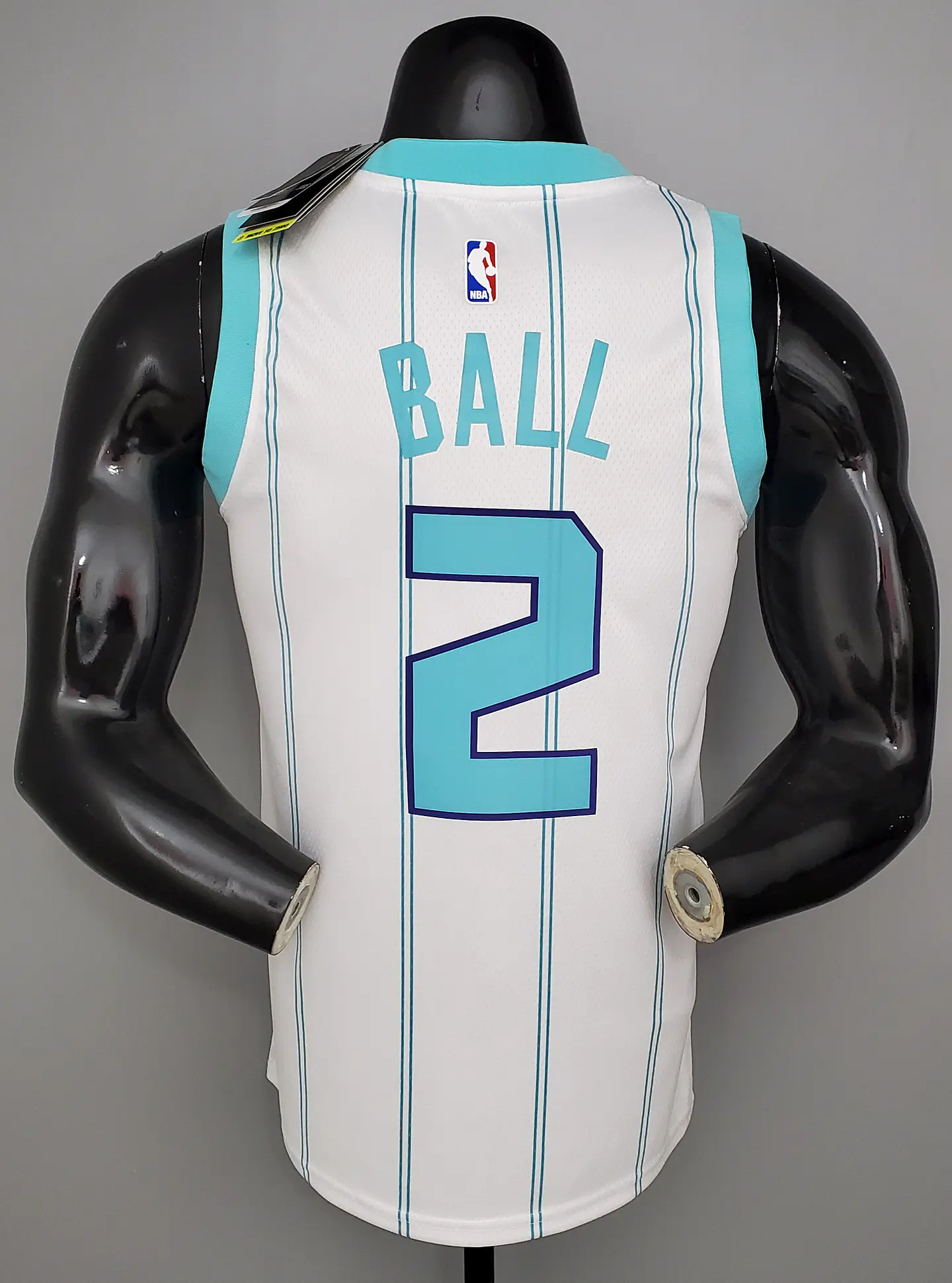 Charlotte Hornets 2