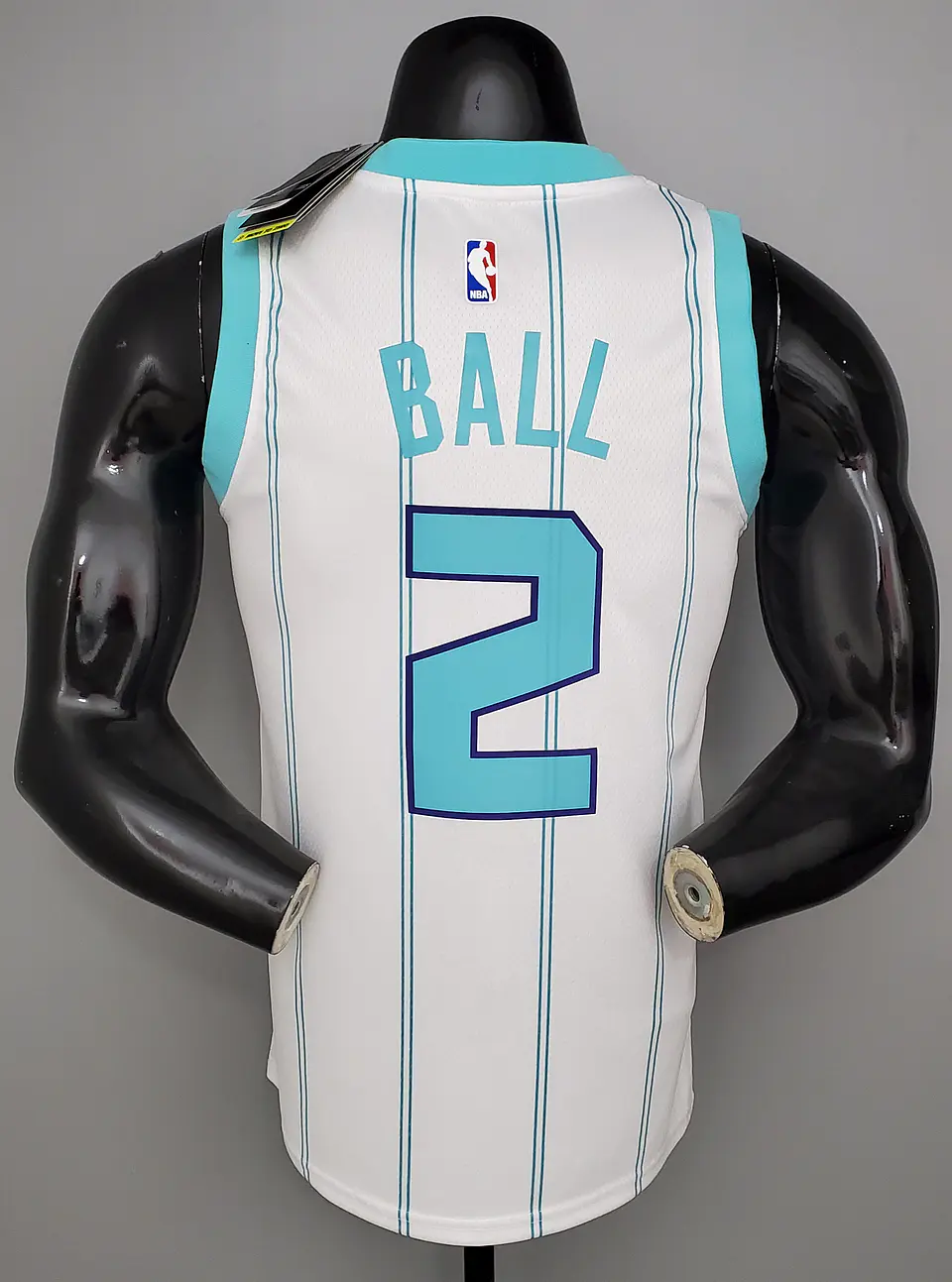 Charlotte Hornets 2