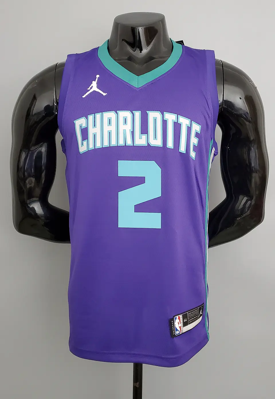 Charlotte Hornets 1