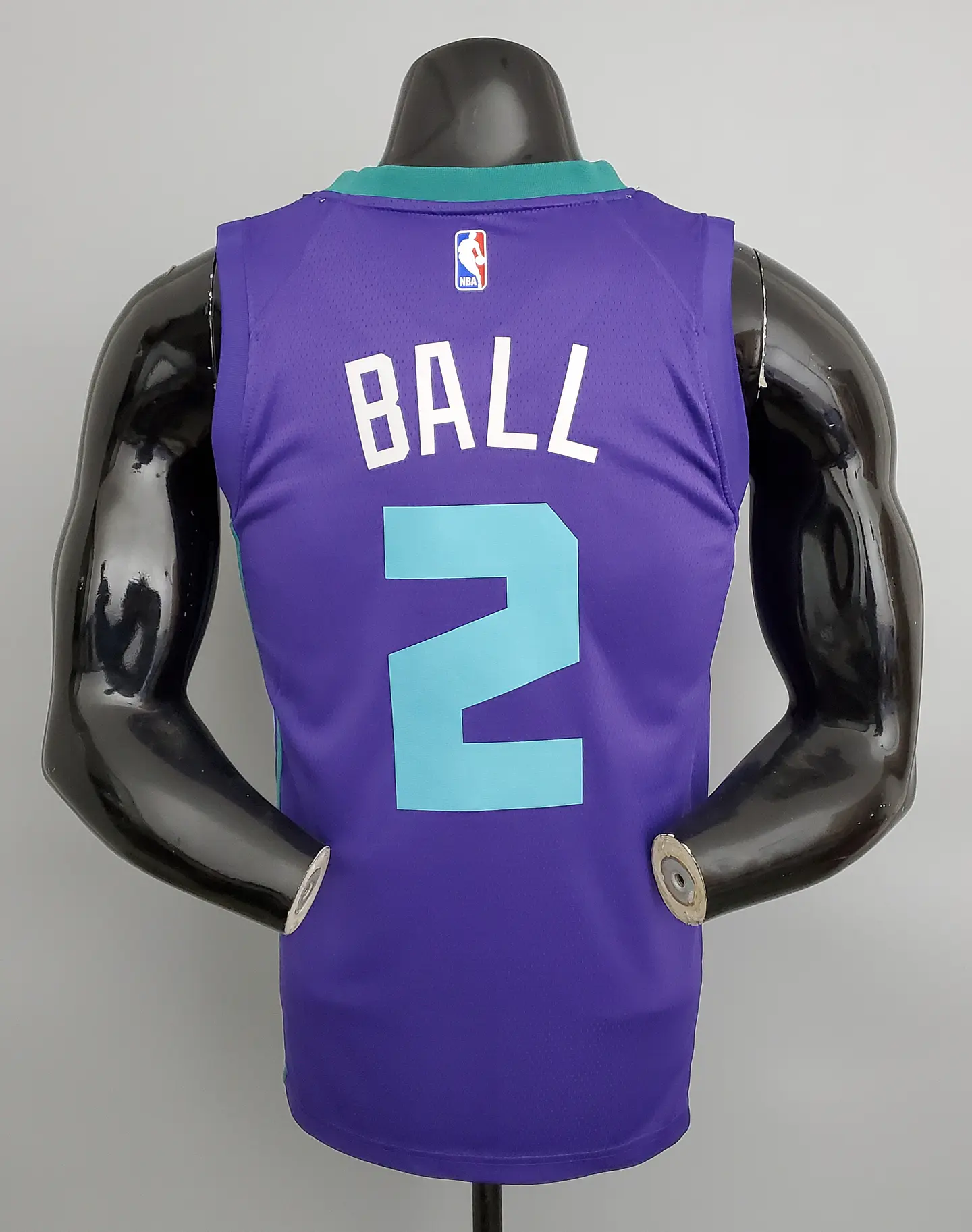 Charlotte Hornets 2
