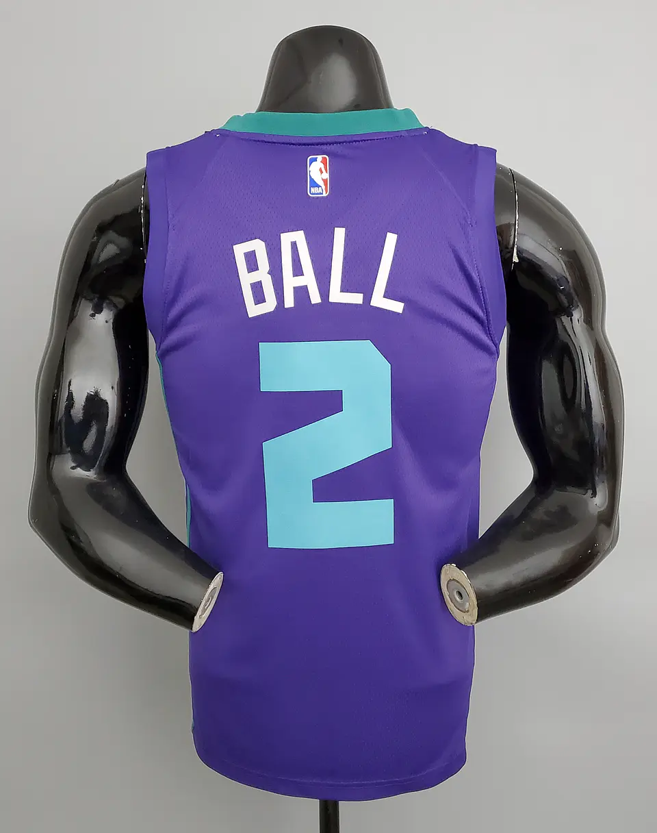 Charlotte Hornets 2