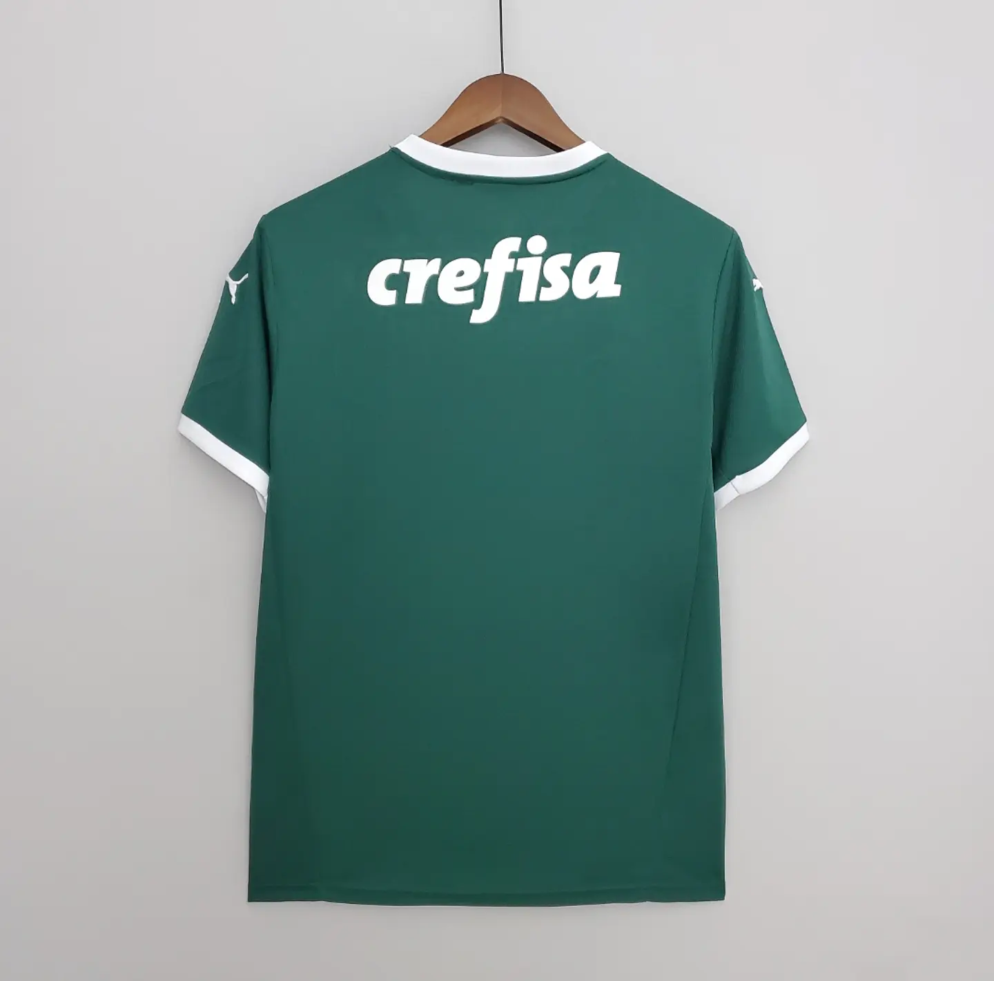 Palmeiras Equipamento Principal 2022/23 3