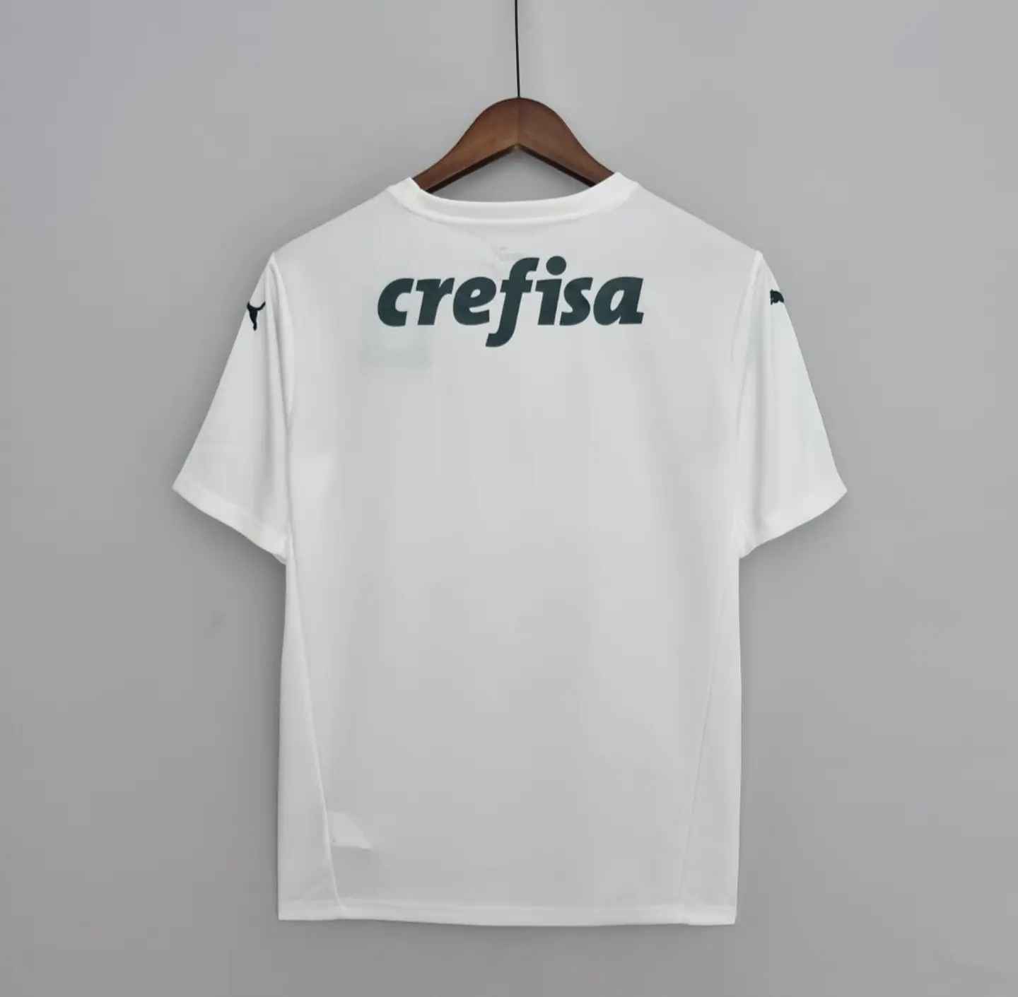 Palmeiras Equipamento Alternativo 2022/23 3