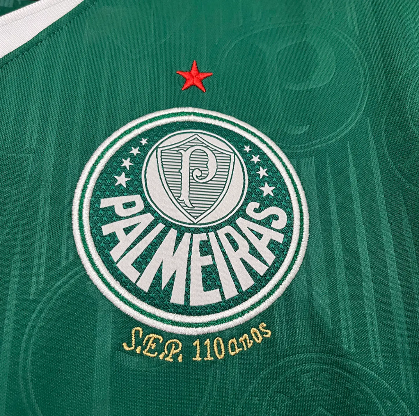 Camisola Principal Palmeiras 2024/25 Todos os Patrocínios  2