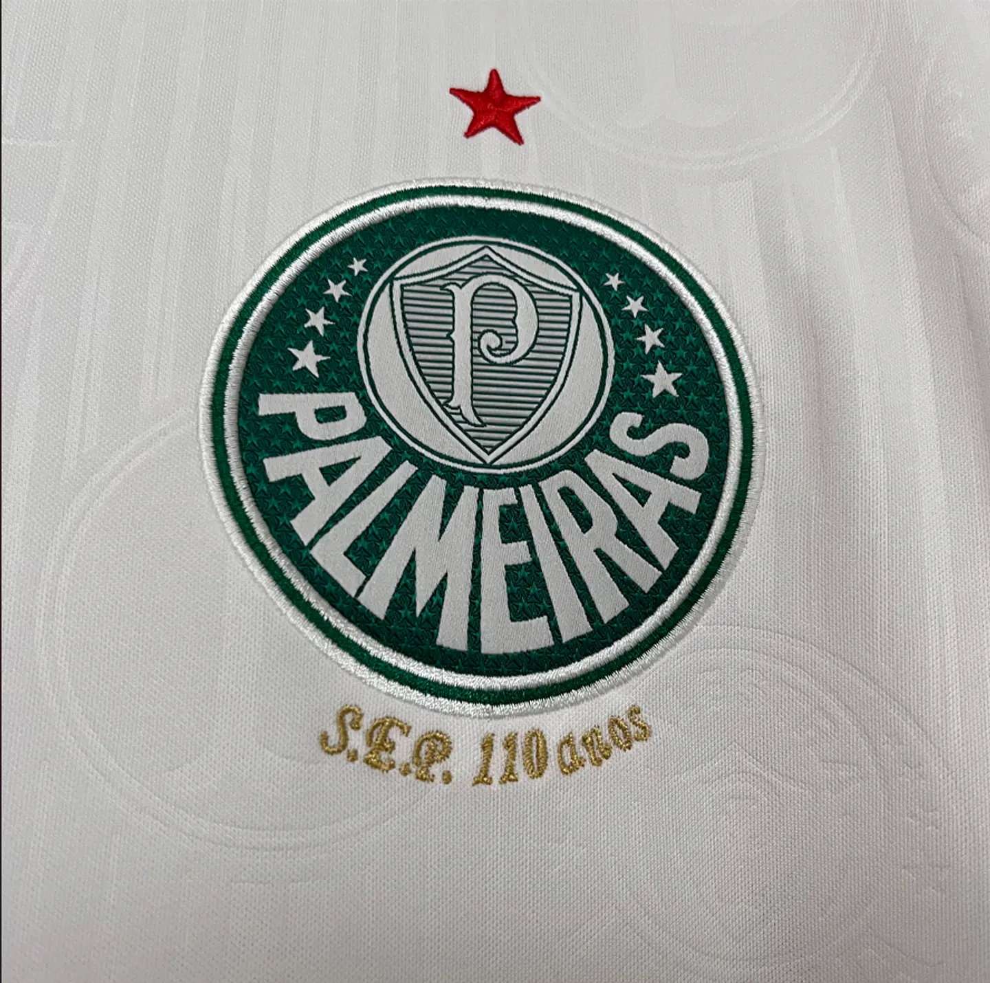 Camisola Palmeiras Alternativa 2024/25 2