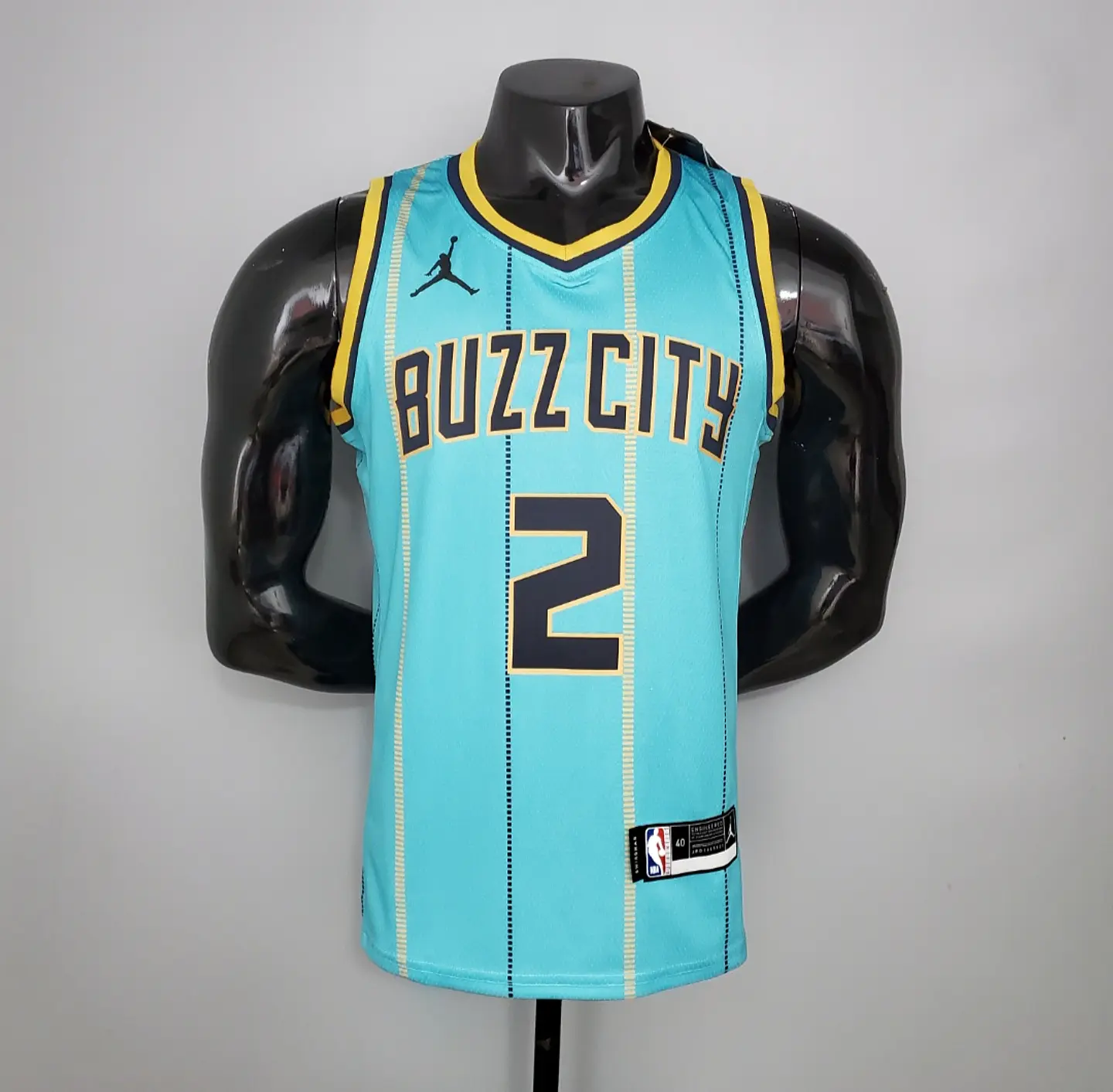 Charlotte Hornets  1