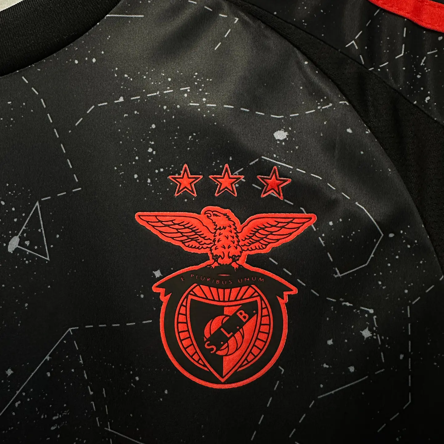Camisola Benfica Alternativa 2024/25 2