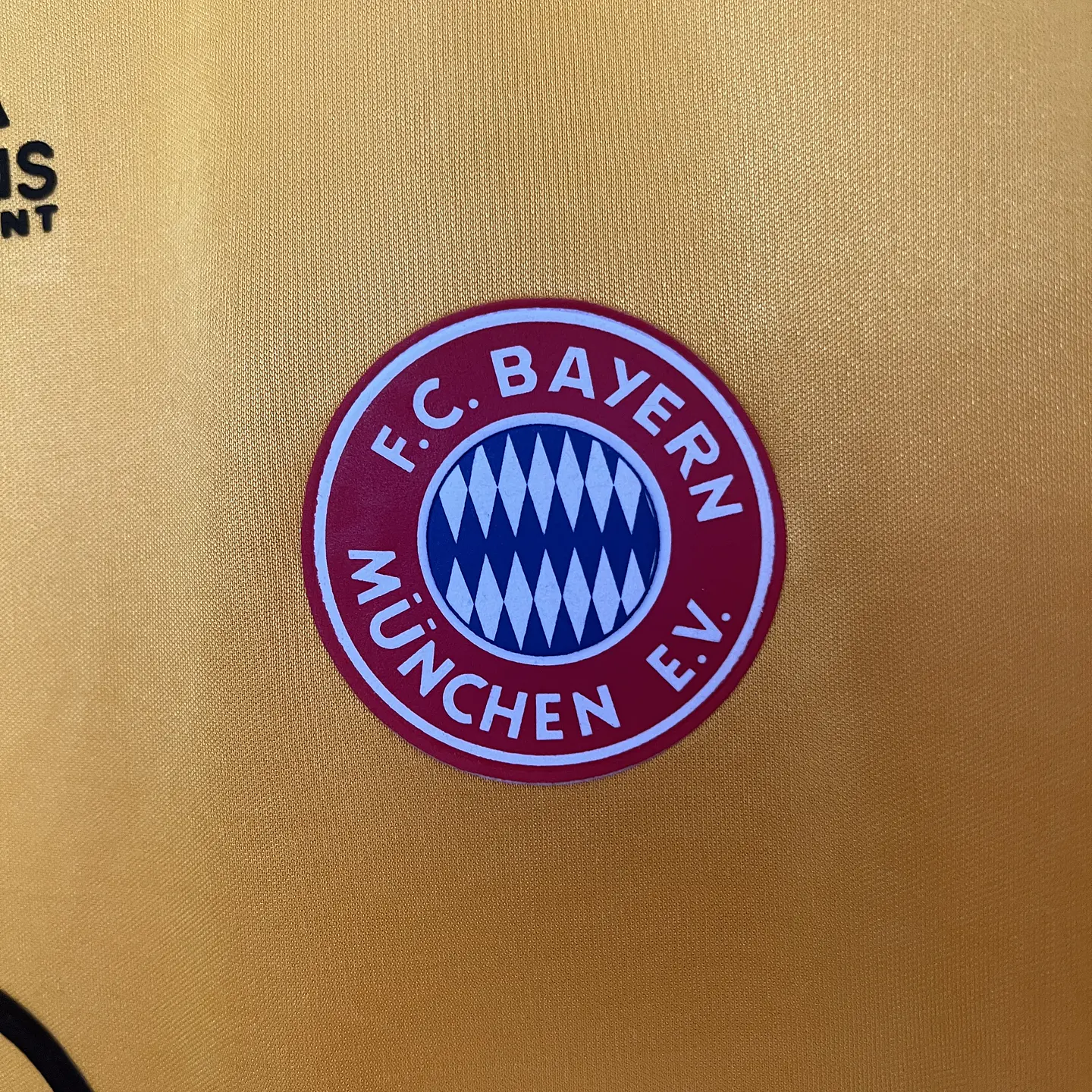 Bayern Munique Alternatriva 1993/95 2