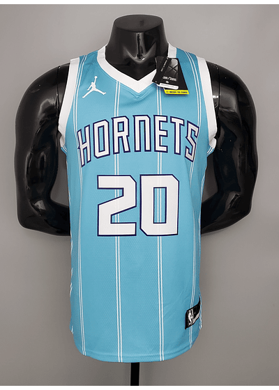 Charlotte Hornets 