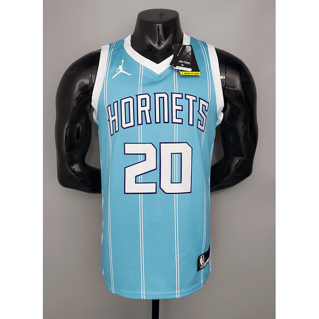 Charlotte Hornets 