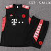 Kit de Treino Bayern Munique 2023/34