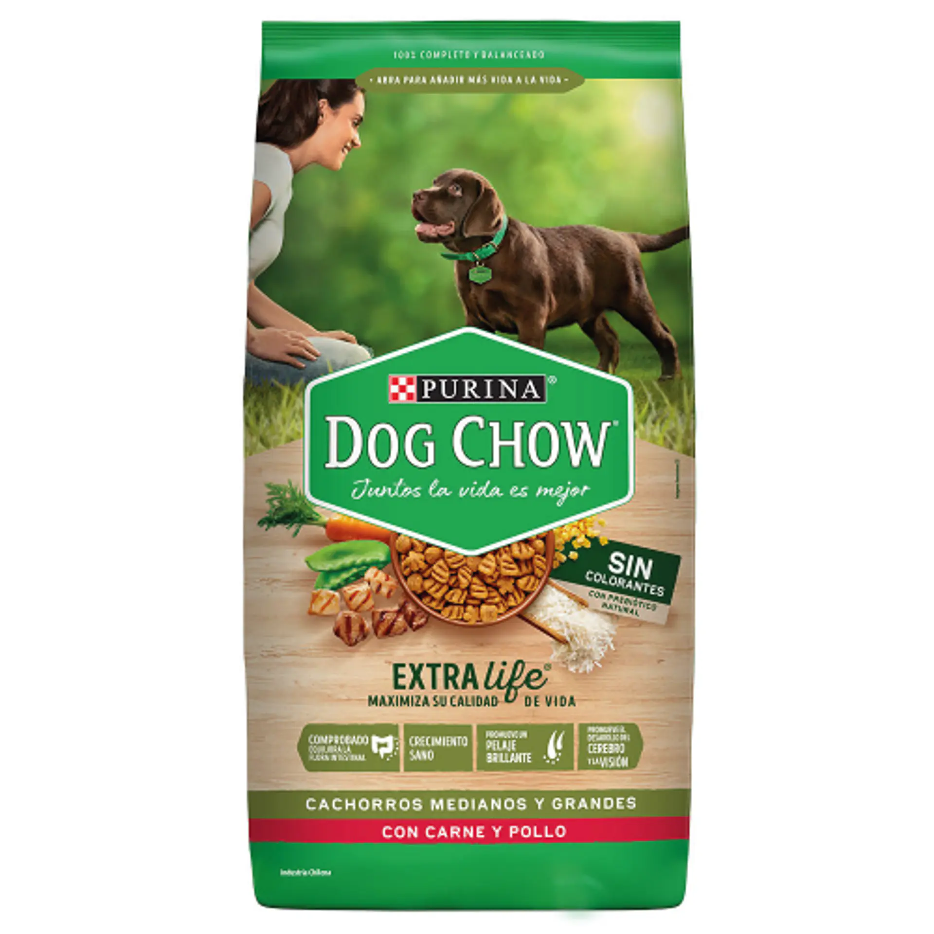 DOG CHOW CACHORROS MEDIANOS Y GRANDES 1