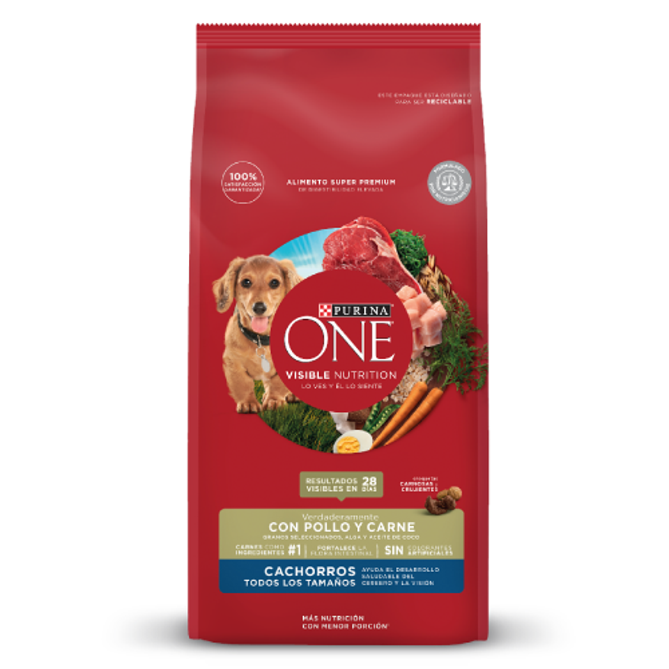 ONE CACHORROS TODOS LOS TAMAÑOS 12 K. 1