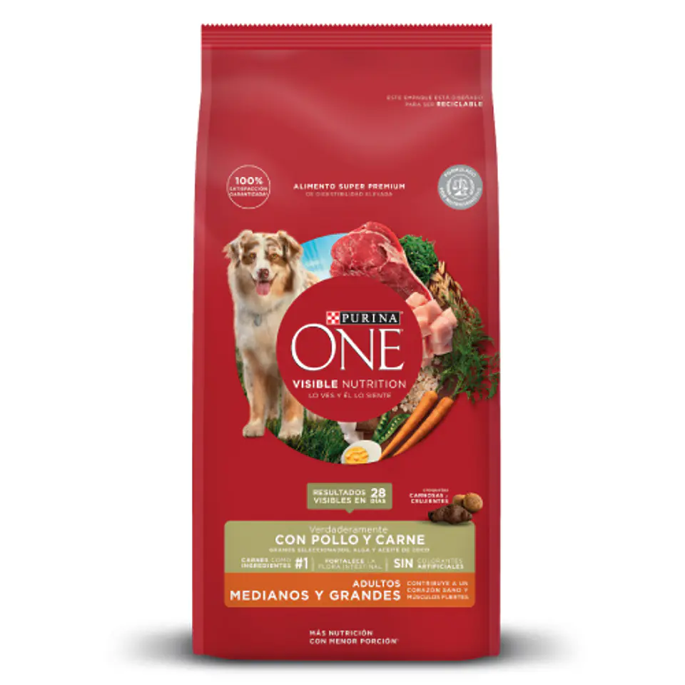 ONE ADULTOS MEDIANOS Y GRANDES CON POLLO Y CARNE 6 K. 1