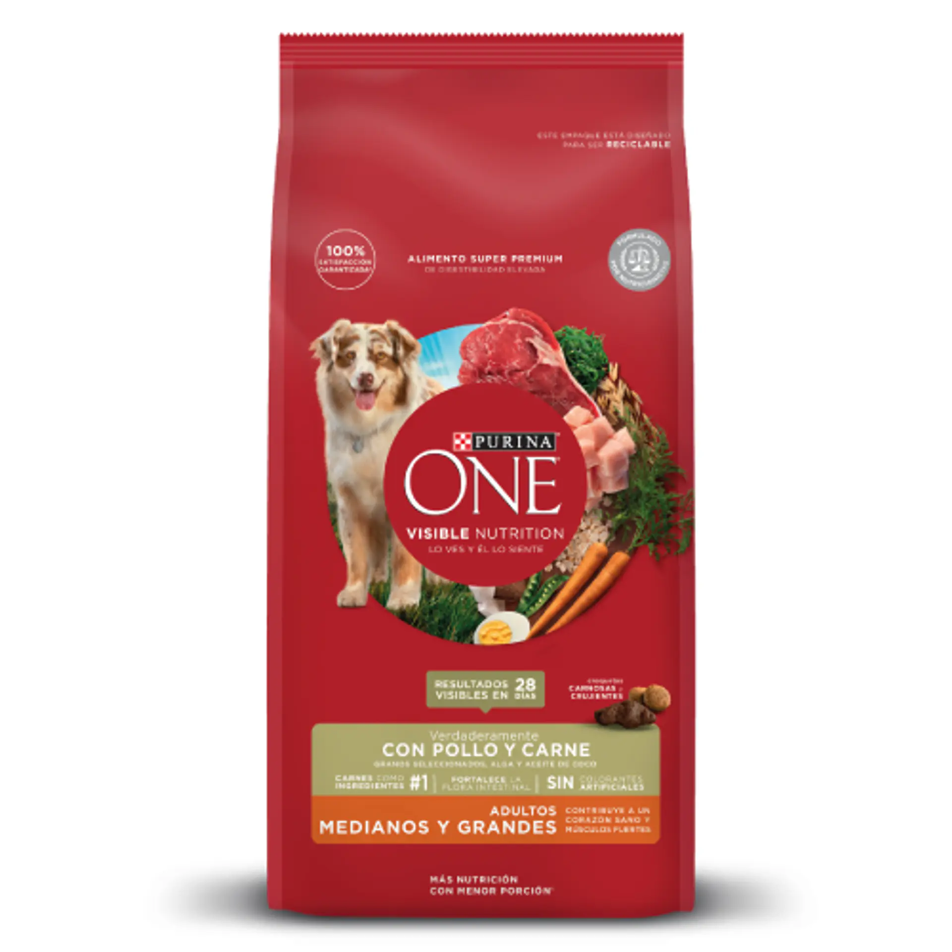 ONE ADULTOS MEDIANOS Y GRANDES CON POLLO Y CARNE 12 K. 1