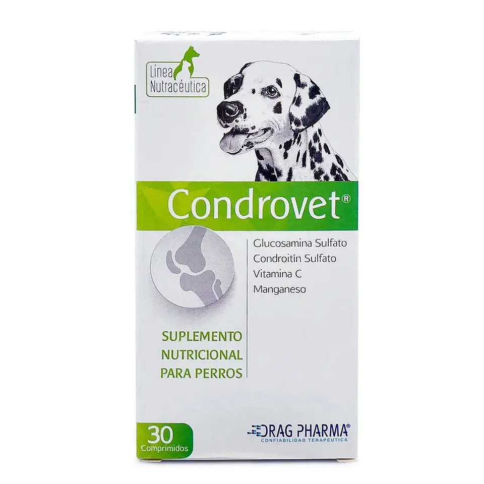 CONDROVET SUPLEMENTO NUTRICIONAL 1