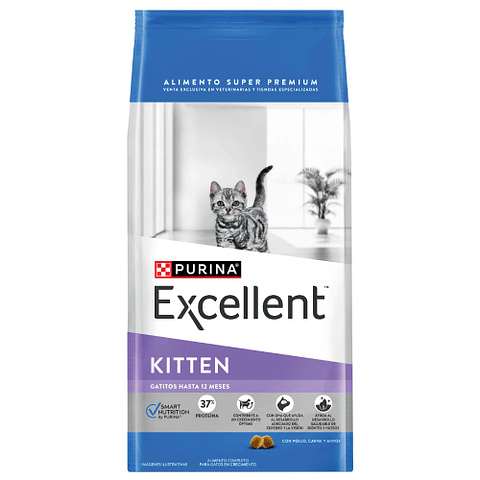 EXCELLENT KITTEN 7.5 K.