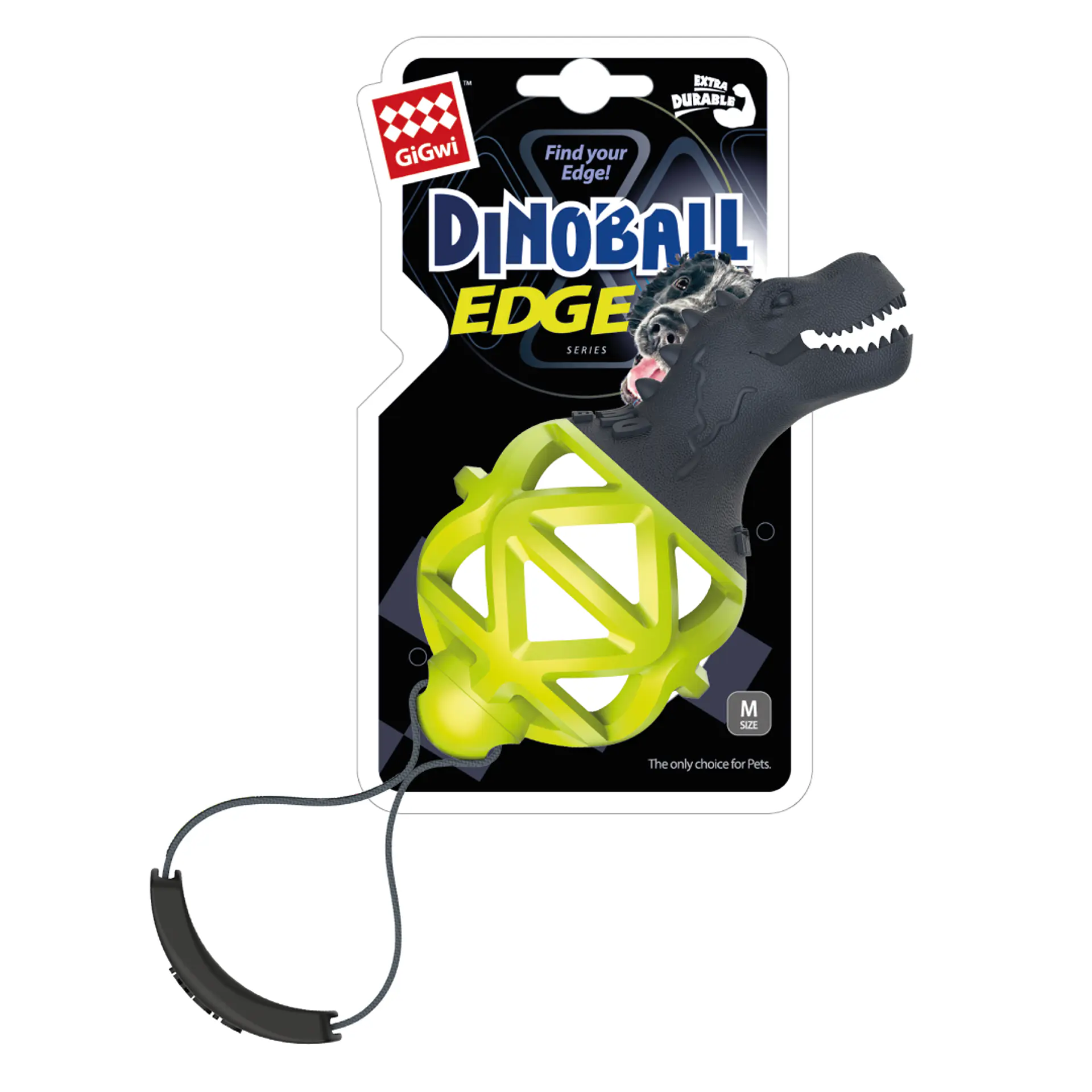 GIGWI DINOBALL EDGE 1