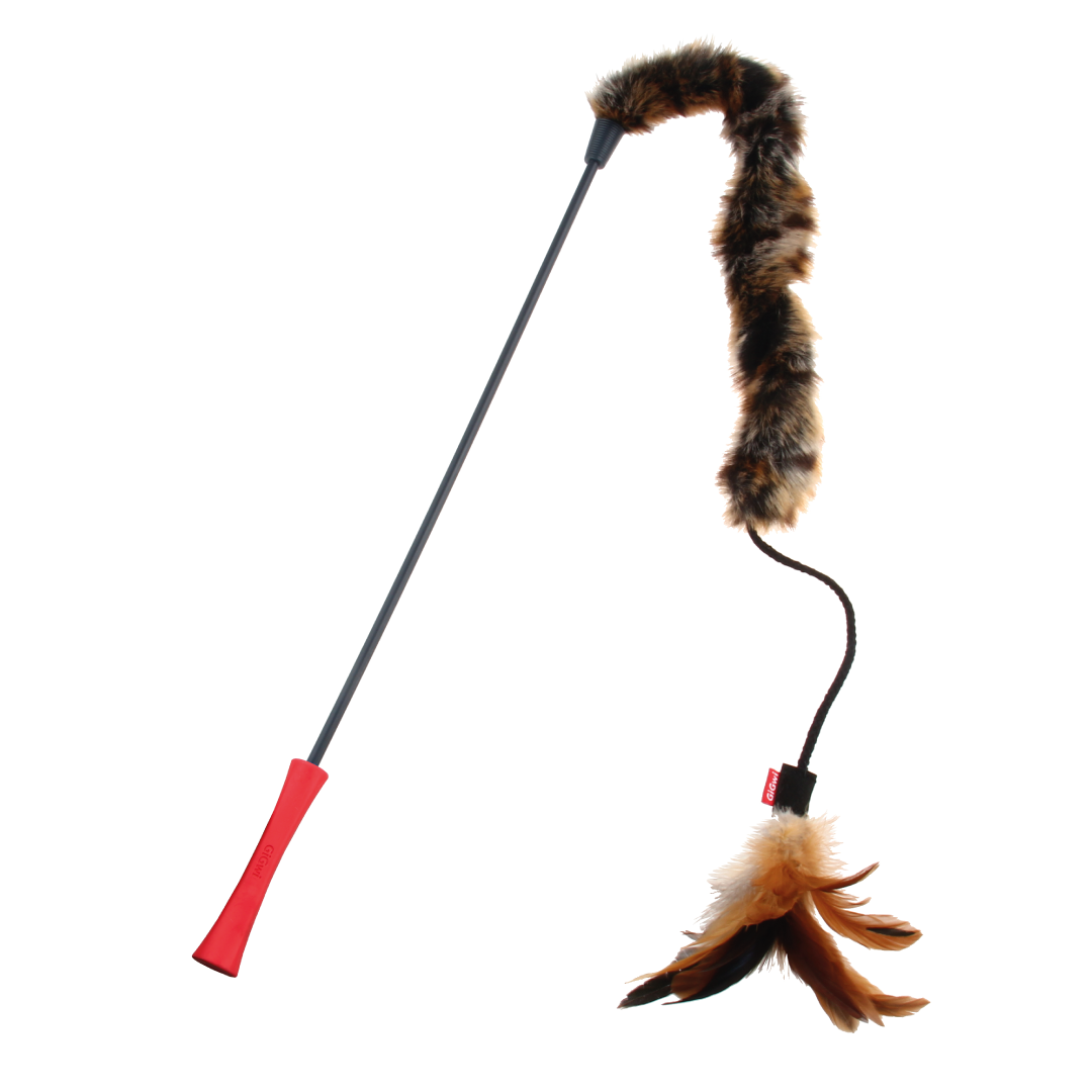 GIGWI FEATHER TEASER