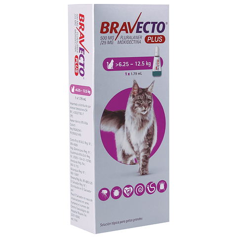 BRAVECTO PLUS GATO 6.25 - 12.5 K.