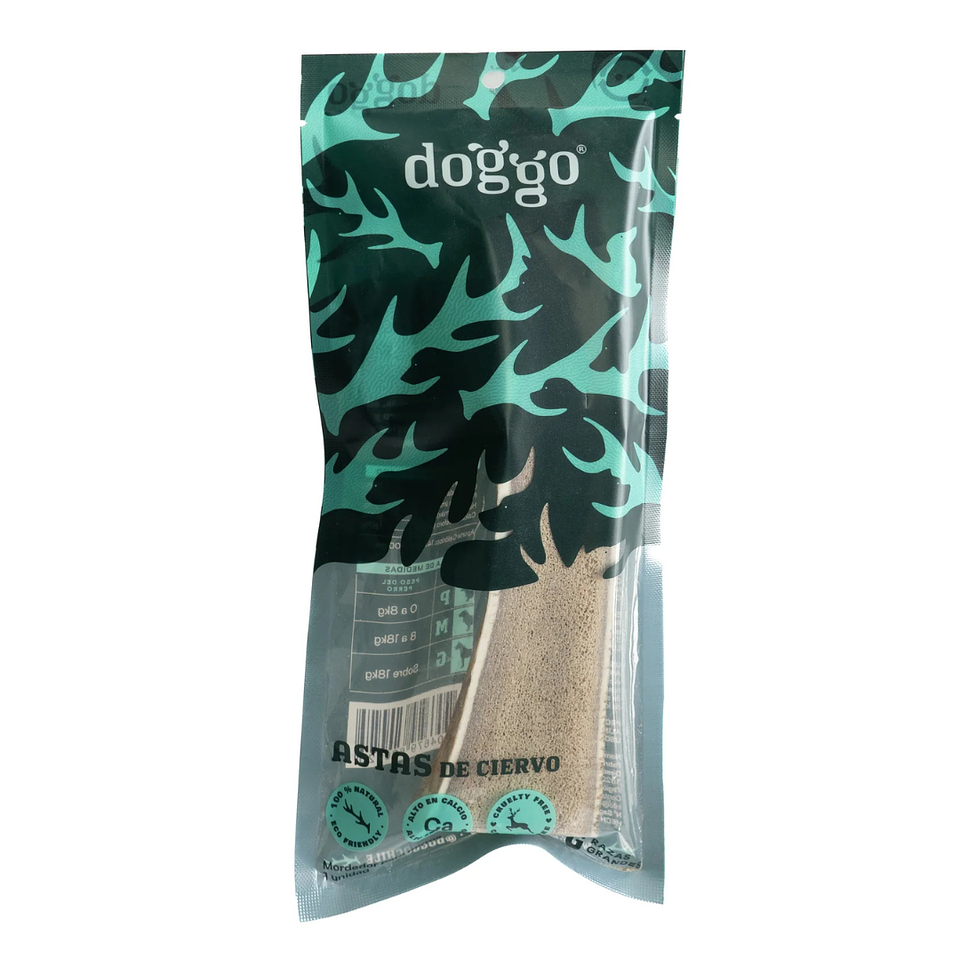 DOGGO MORDEROR ASTA 1