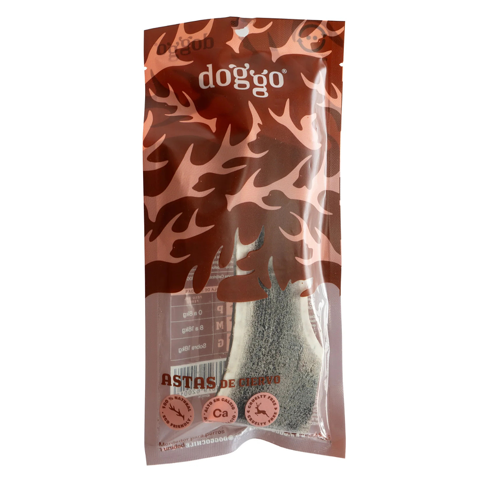 DOGGO MORDEROR ASTA 2