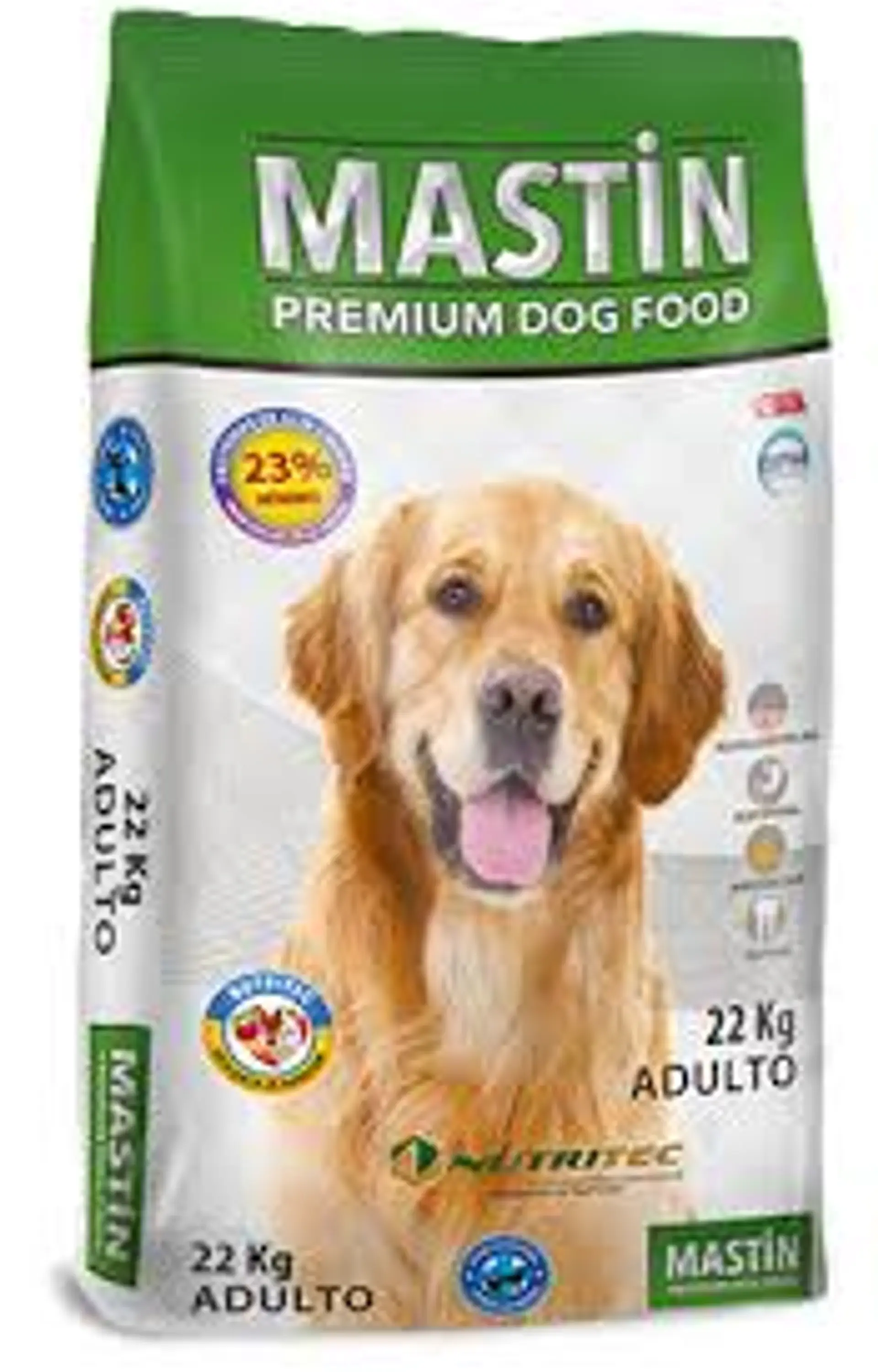 MASTIN ADULTO 22 K. 1