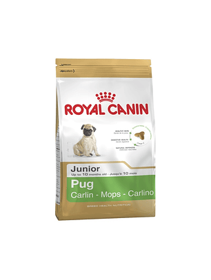 ROYAL PUG PUPPY 2.5 K.