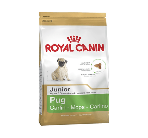 ROYAL PUG PUPPY 2.5 K.