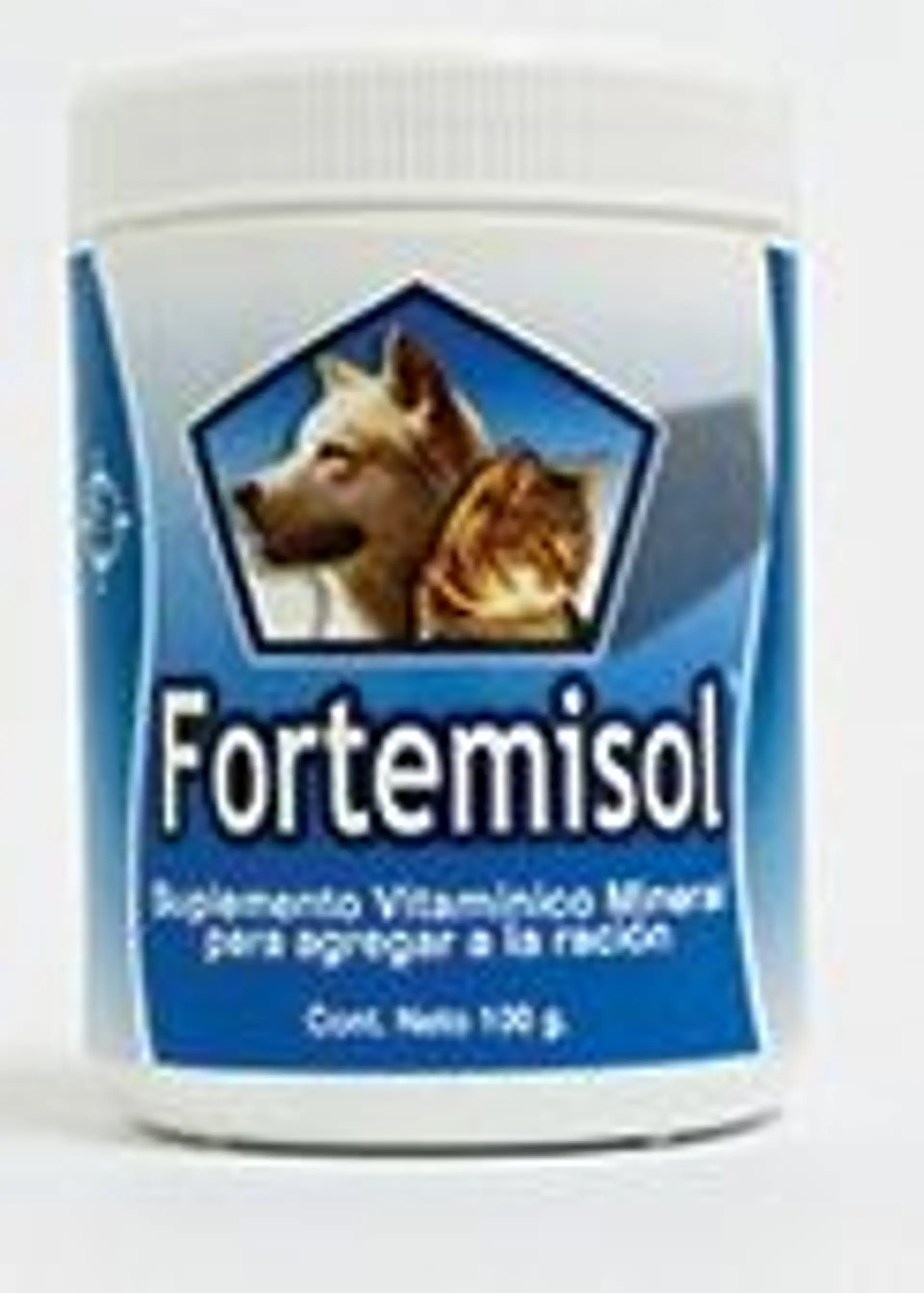 FORTEMISOL SUPLEMENTO VITAMINICO 100 GRS. 1