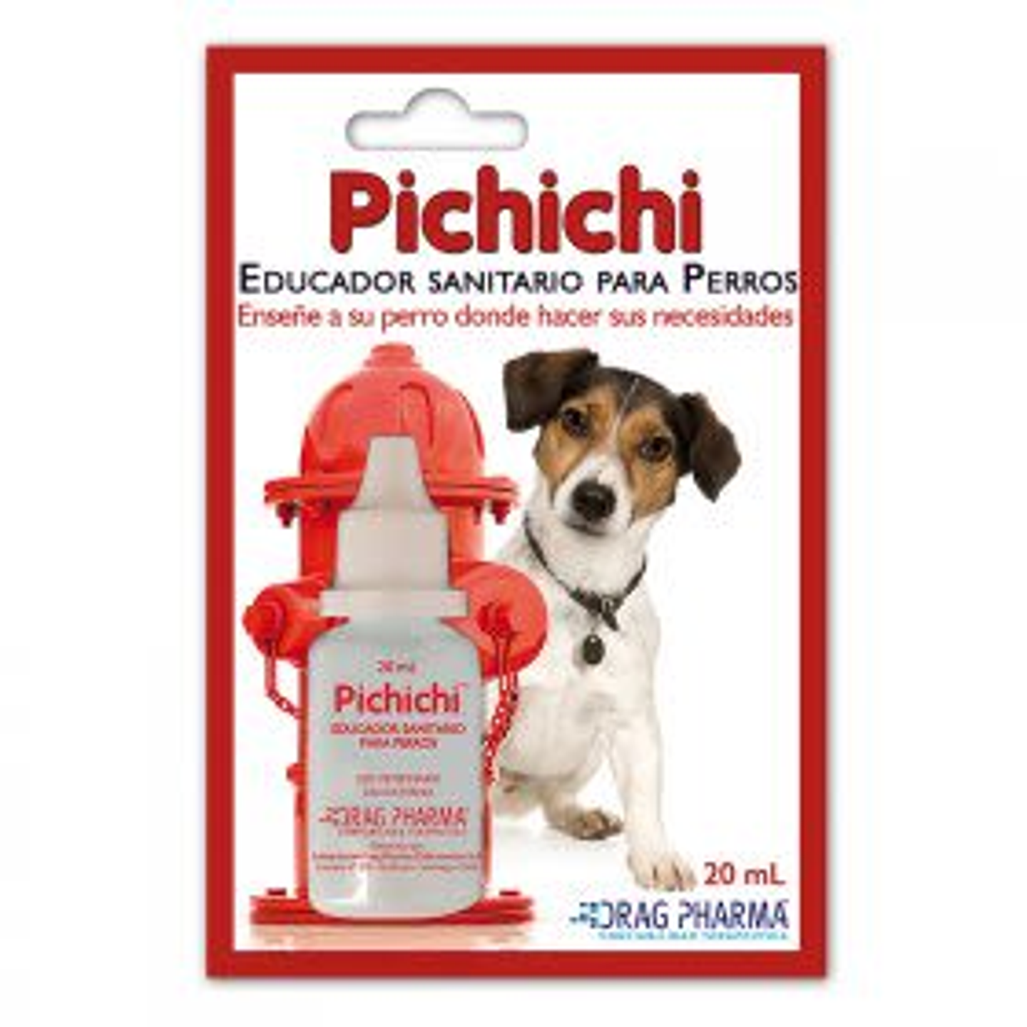 PICHICHI EDUCADOR SANITARIO 1