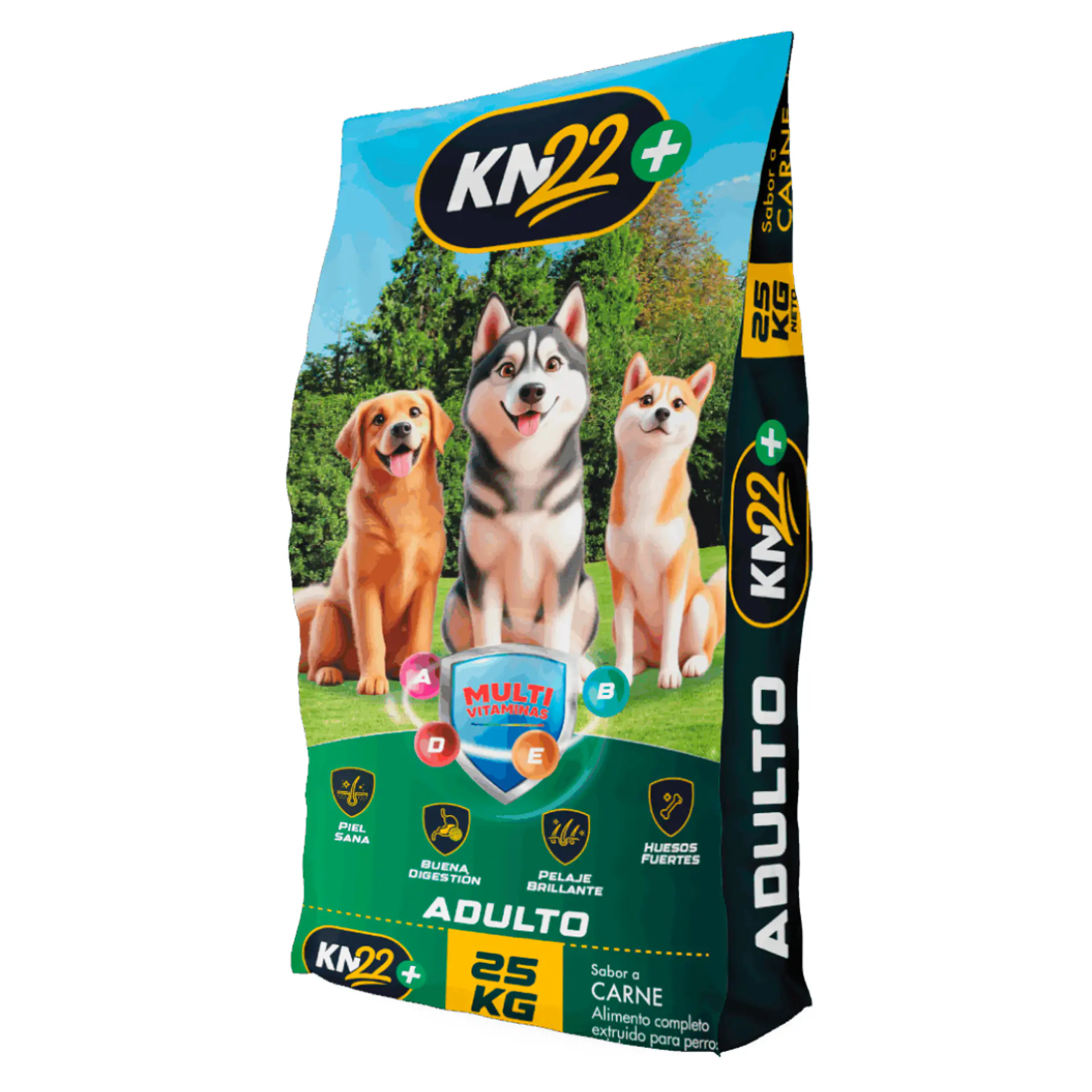 KN22 ADULTO 25 K. 1