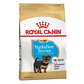 ROYAL CANIN YORKSHIRE TERRIER PUPPY - Miniatura 1