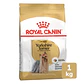 ROYAL CANIN YORKSHIRE TERRIER ADULT - Miniatura 2