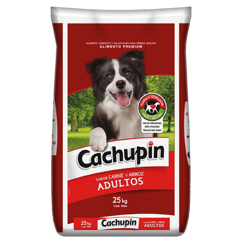 CACHUPIN ADULTO 25 K.