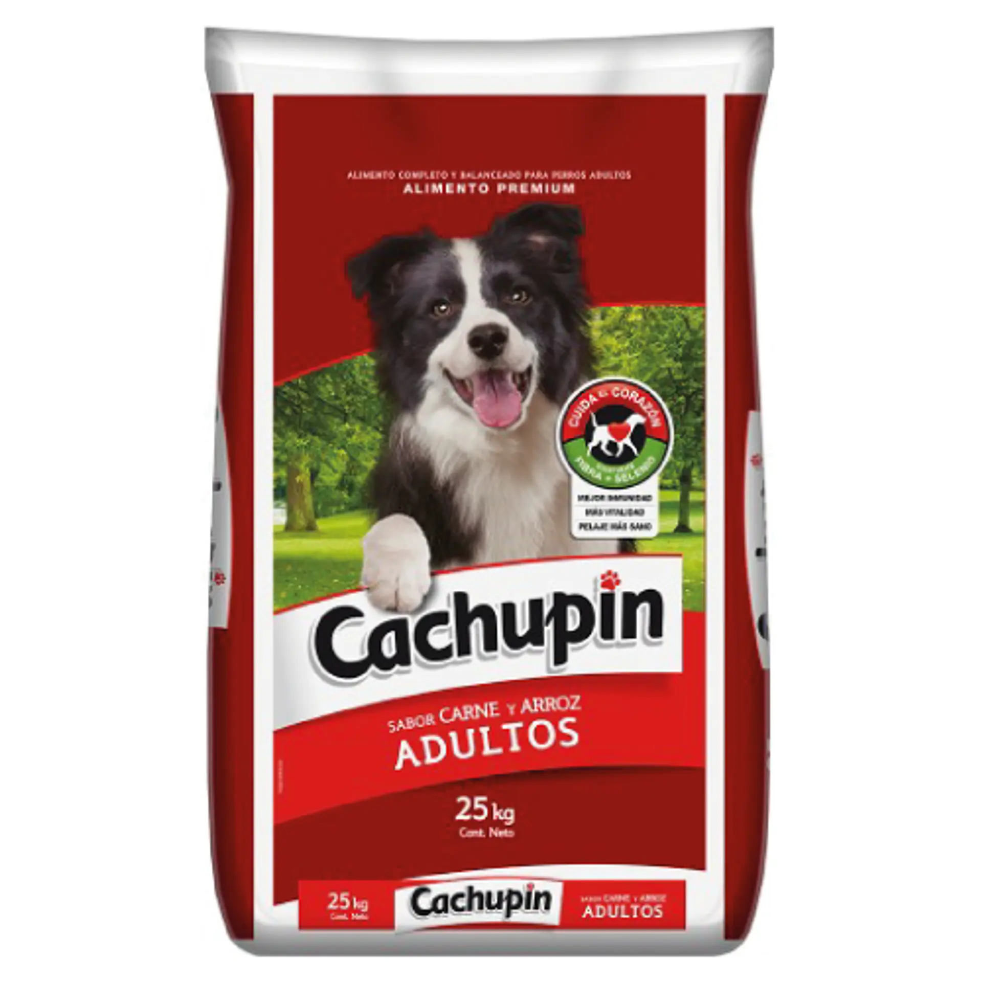 CACHUPIN ADULTO 25 K. 1