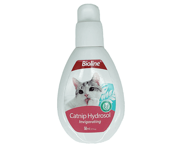 Catnip Hydrosol 50Ml