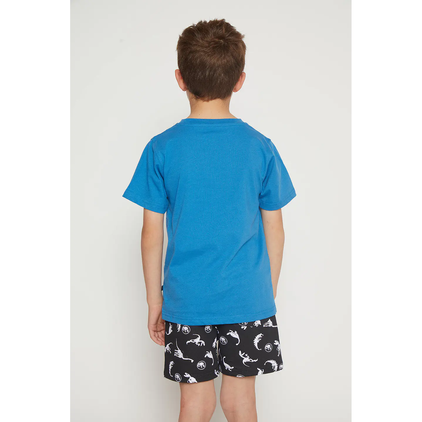 Polera Niño Basic Dino Azul Familyshop 2