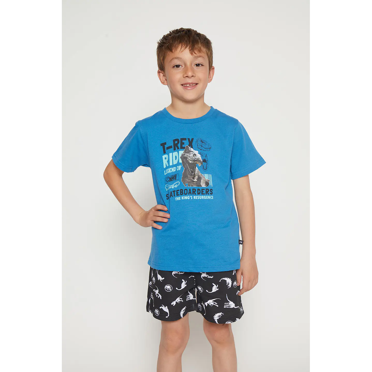 Polera Niño Basic Dino Azul Familyshop 1