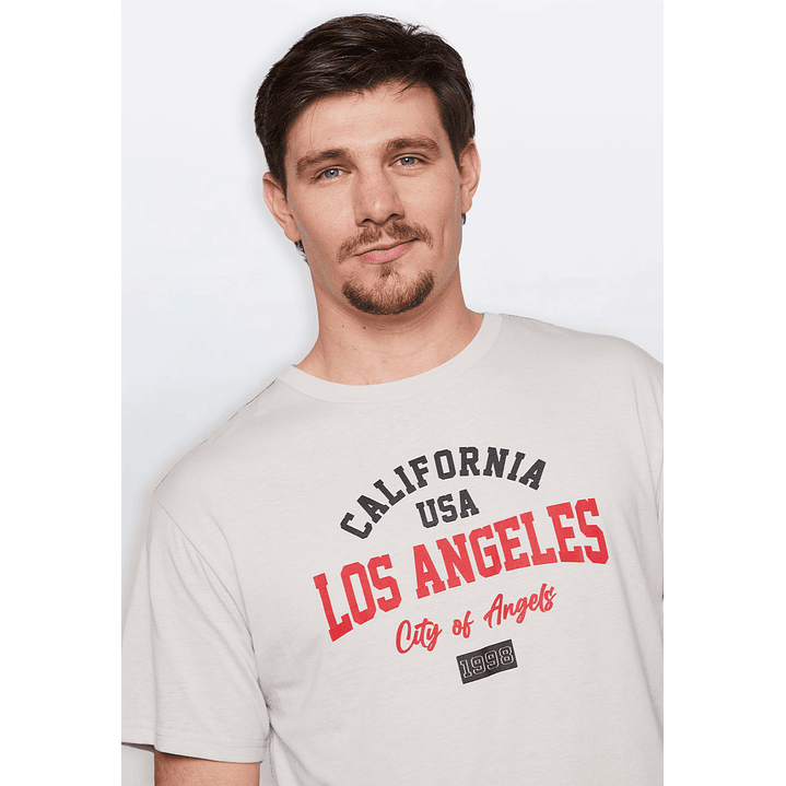 Polera Hombre Basic One Color Gris Familyshop 2