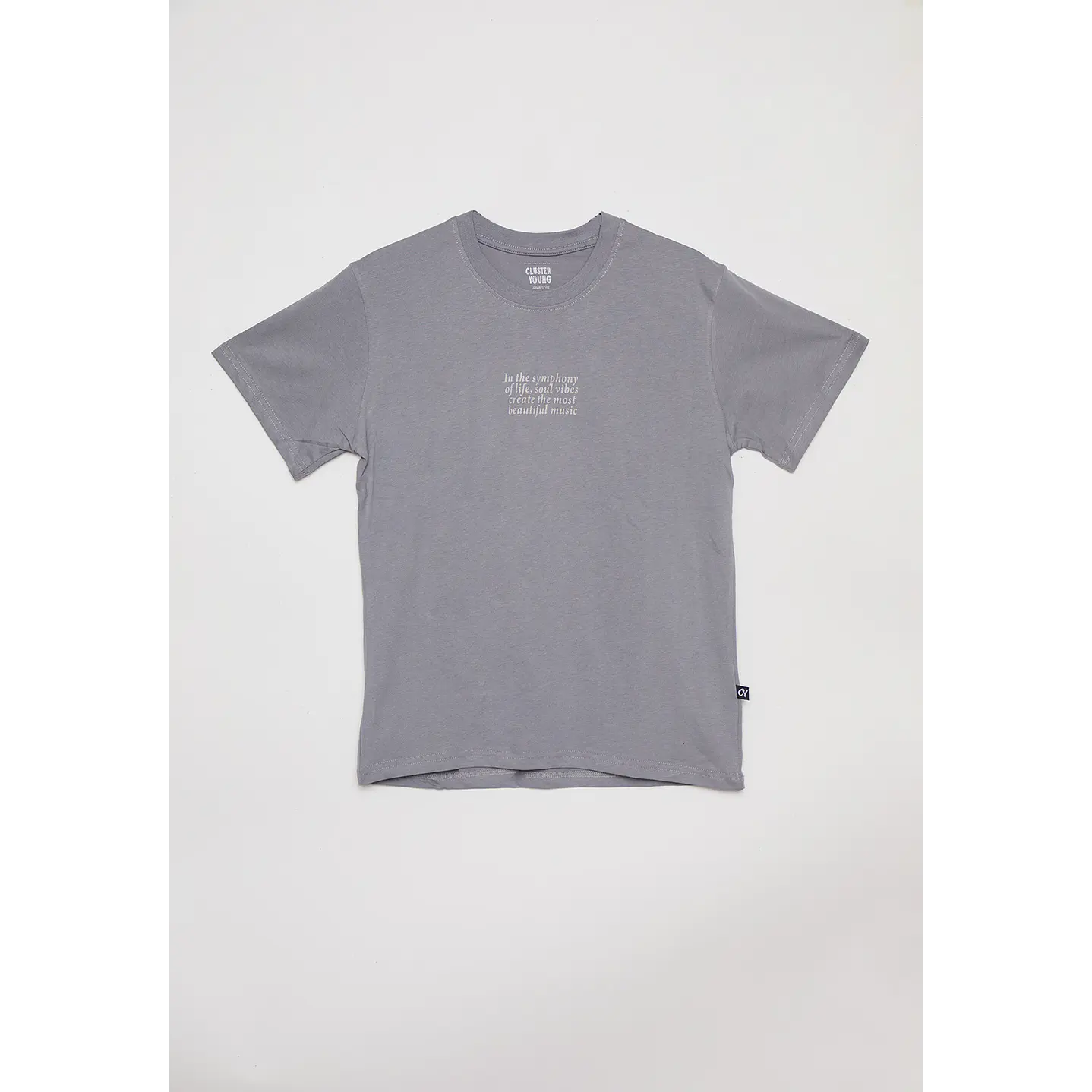 Polera Lolo Manga Corta Gris Familyshop 2